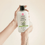 Anti  Dendruff Control Shampoo